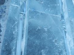 -长春公园(普阳街道)