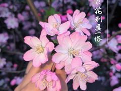-武定门公园