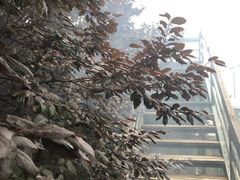 -乌托邦轰趴日租聚会别墅(先生的院子店)