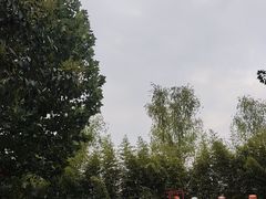 -郑州方特欢乐世界