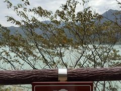 -羚羊峡古栈道森林公园