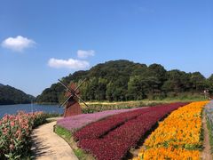 -广州市石门国家森林公园