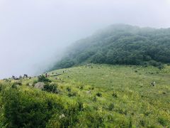 -白草畔自然风景区