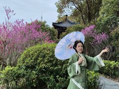 -南汇桃花村