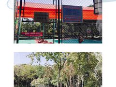 -后襄河公园
