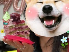 -静宜和她的朋友(星海广场店)
