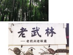 -运河游船(武林门码头)