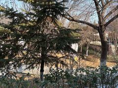 -大连金石滩绿发温泉假日酒店