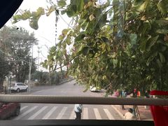 -大湾区中央湿地公园