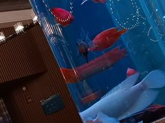 -悦百味·品质川菜(橄榄郡店)