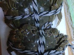 -乡乐园蟹庄·阳澄湖农家乐