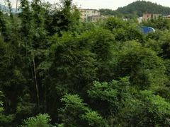 -江门古兜温泉小镇