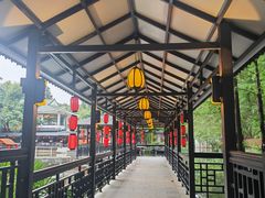 -侨美·唐荔园·40年地道粤菜