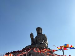 -龙口南山旅游景区