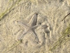 -北海金海湾红树林生态旅游区