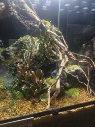 -Zoolung Zoolung动物主题公园(海信广场店)