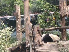-黔灵山公园