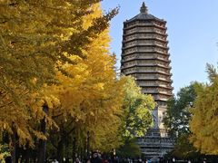 -玲珑塔公园