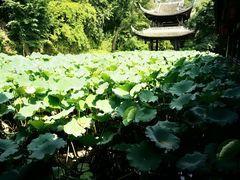 -三苏祠