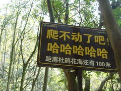 -广东天露山旅游度假区