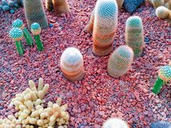 -南通洲际绿博园