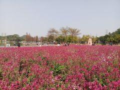 -顺峰山公园