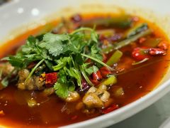 -19号私房菜(云南路店)