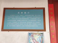 -关林