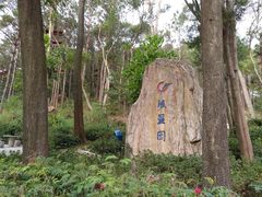 -狐尾山公园