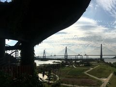 -芒洲湿地公园