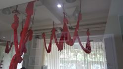 -榕树上·瑜伽普拉提