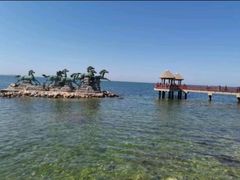 -养马岛旅游度假区