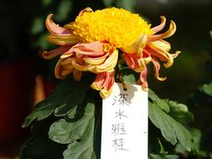 -国家植物园