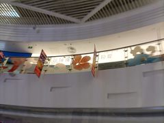 -枫蓝国际购物中心