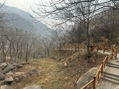 -大岭沟猕猴桃谷风景区