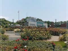 -立新湖公园