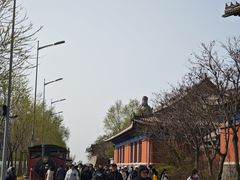 -天津妈祖文化园