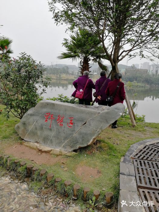 枫香湖儿童公园图片