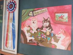 -柴犬高等学院·狗咖·柴犬售卖·宠物训练