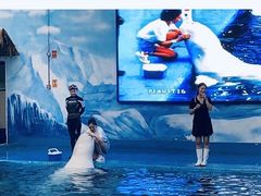 -石林冰雪海洋世界