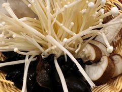 -百友顺涮肉城(故城东路店)