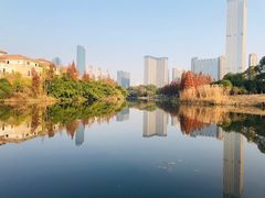 -艾溪湖湿地公园