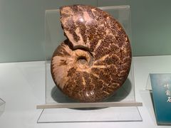 -甘肃省博物馆