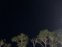 -亚龙湾希尔顿自助餐厅·海鲜·烧烤·沙滩BBQ·现场乐队