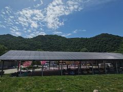 -青峰峡国家森林公园