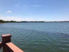 -丁香湖公园