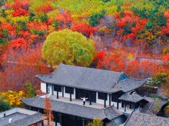 -樱花山风景区