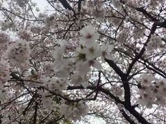 -堤角公园