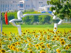 -光明小镇欢乐田园