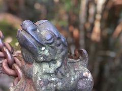 -腾冲云峰山
